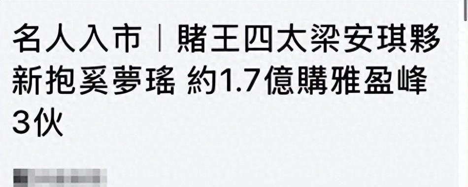 开云注册网址-梁安琪带奚梦瑶扫货豪宅，同层豪掷1.68亿，拿下三套李泽楷新楼盘